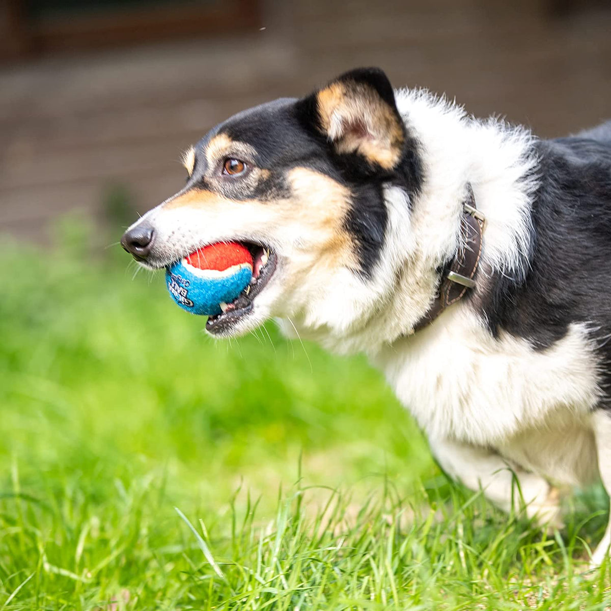 Squeaky Dog Tennis Balls, 3 Pack Elastic Interactive Toy for Dogs