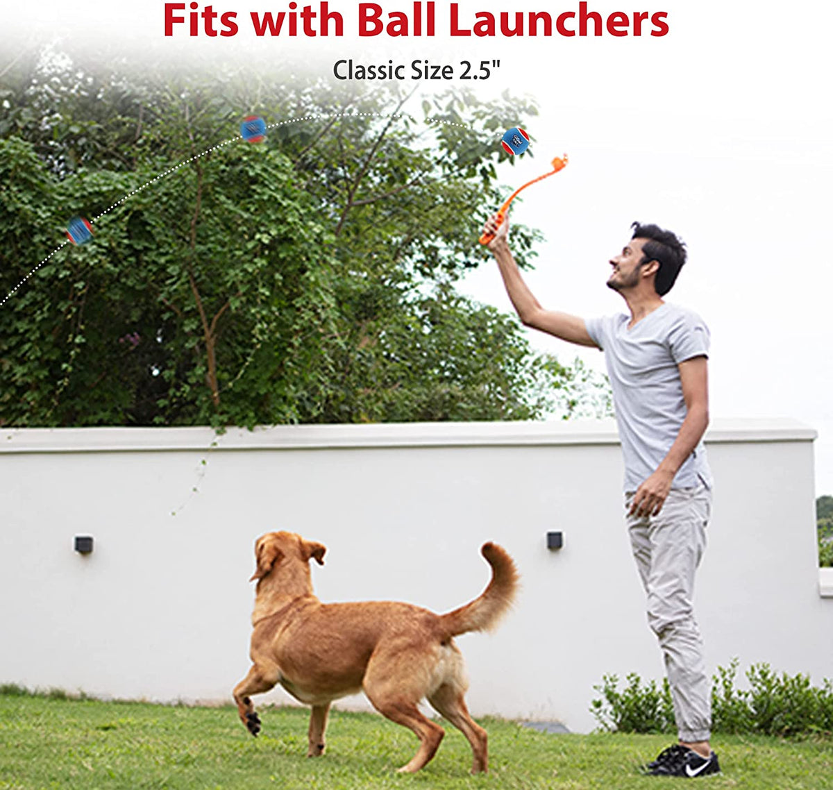 Squeaky Dog Tennis Balls, 3 Pack Elastic Interactive Toy for Dogs