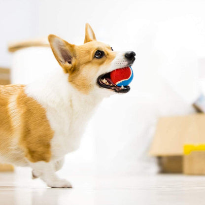 Squeaky Dog Tennis Balls, 3 Pack Elastic Interactive Toy for Dogs