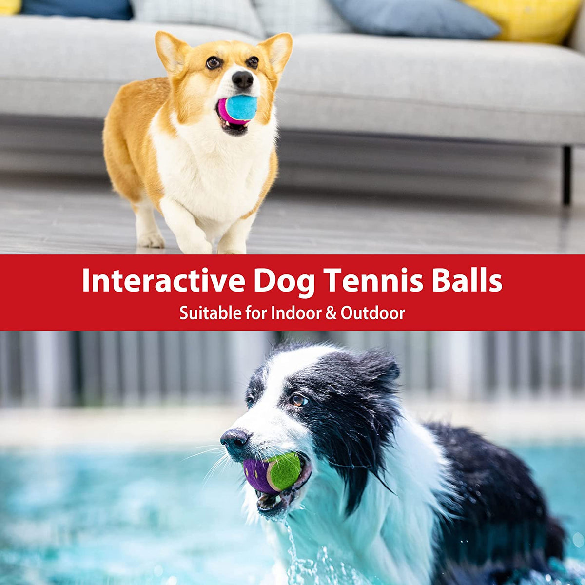 Squeaky Dog Tennis Balls, 3 Pack Elastic Interactive Toy for Dogs